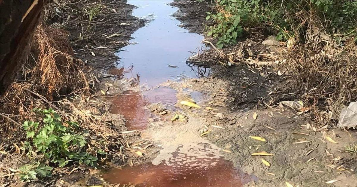 Descarga de aguas negras empeora en San José Iturbide; ahora tiran hasta vísceras